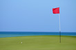 Golffahne auf Grün mit Ball
