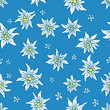 Hand drawn seamless pattern: edelweiss and little flowers Hand drawn seamless pattern: edelweiss and little flowers