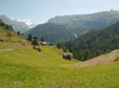 Cabanes dans les prés