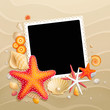 Picture, shells and starfishes on sand background