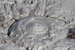 The mud volcanoes