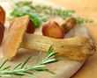 Steinpilz