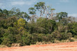 Paranà - Brazil