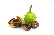 Marron d'Inde