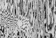 Zebra pattern on an old fishing shed wall