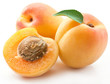Apricots with leaves