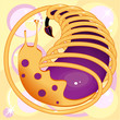 snail with a purple body and a small tail in the golden spiral