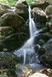 Chute d'eau dans le Lyonnais