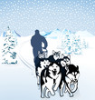Schlittenhunde
