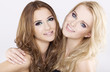 Photo: Two smiling girl friends - blond and brunette Two smiling girl friends - blond and brunette