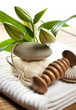 soins du corps naturel soins du corps naturel