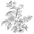 Graphic ornate flowers