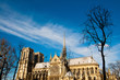 Notre Dame Cathedral in paris france