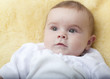 Photo: Bébé attentif observateur Bébé attentif observateur