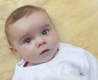 Photo: Bébé petit ange Bébé petit ange