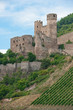 Burg Ehrenfels am Rhein