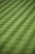 Fresh Outfield Grass