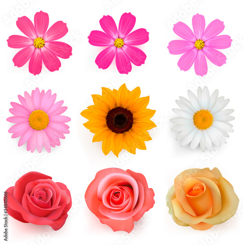 Vector: Big set of beautiful colorful flowers. Vector illustration. Big set of beautiful colorful flowers. Vector illustration.