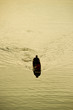 Wooden Classical Boat Wooden Classical Boat