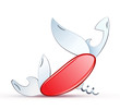 penknife