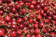 Red Cherries Red Cherries