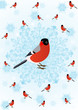 Winter bird