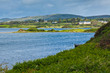Ardmore bay and coast Ardmore bay and coast