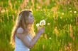 Foto: Summer Meadow Summer Meadow