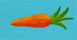 Carrot on a blue background
