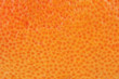 Skin of an grapefruit.