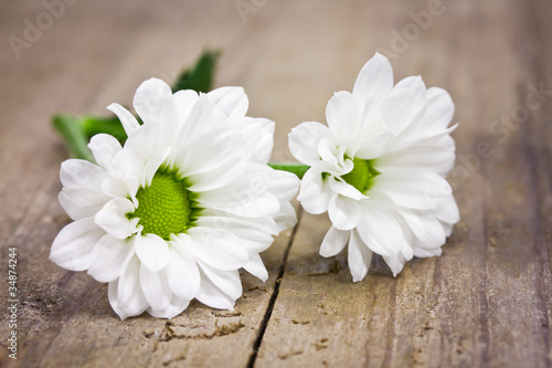 Foto: weisse Blüten weisse Blüten