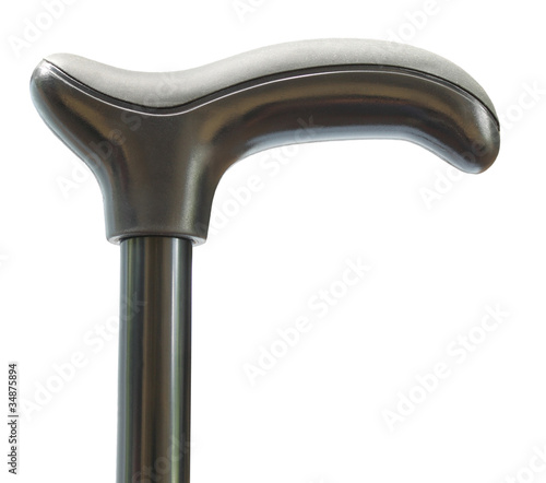 Photo: Walking stick Walking stick