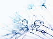 Abstract macro photo of plant seeds with water drops.