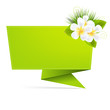 Eco Origami Paper With Frangipani Eco Origami Paper With Frangipani