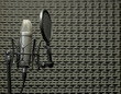 Microphone in Acoustic Booth