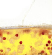A tank of cold white wine punch with grapes, ice, and fruit