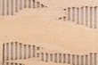 Feuille de carton déchirée