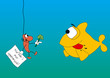 raubfisch