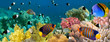 Underwater panorama with Angel fish, coral reef and fishes. Red