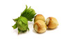 hazelnuts hazelnuts