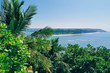 Exotic Coast