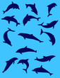 dolphin silhouette with blue background - vector dolphin silhouette with blue background - vector