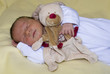 bebe et doudou