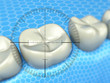 Teeth focus