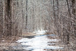Printemps, fonte des neiges