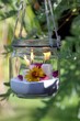Gartenlampe mit brennenden Kerzen und deko im Baum