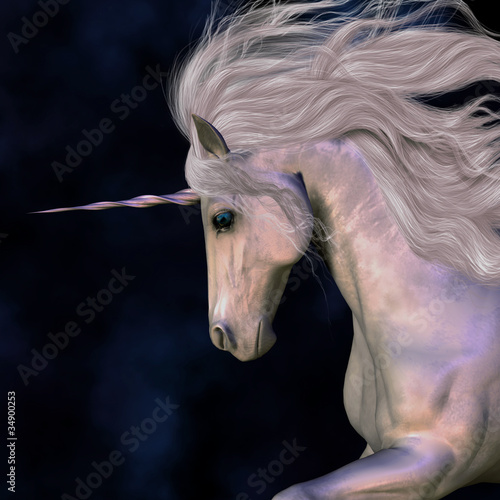 Illustration: Stallion Stallion