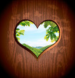 Heart Shaped Window/Mountain View