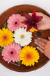 Manicure Spa