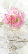 pink artificial rose on white pink artificial rose on white